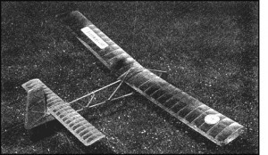 Henkel M11