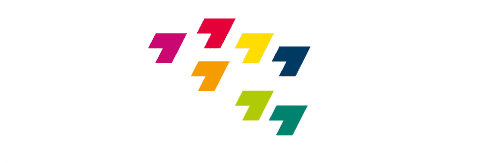 dmfv logo neg