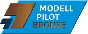 bronze