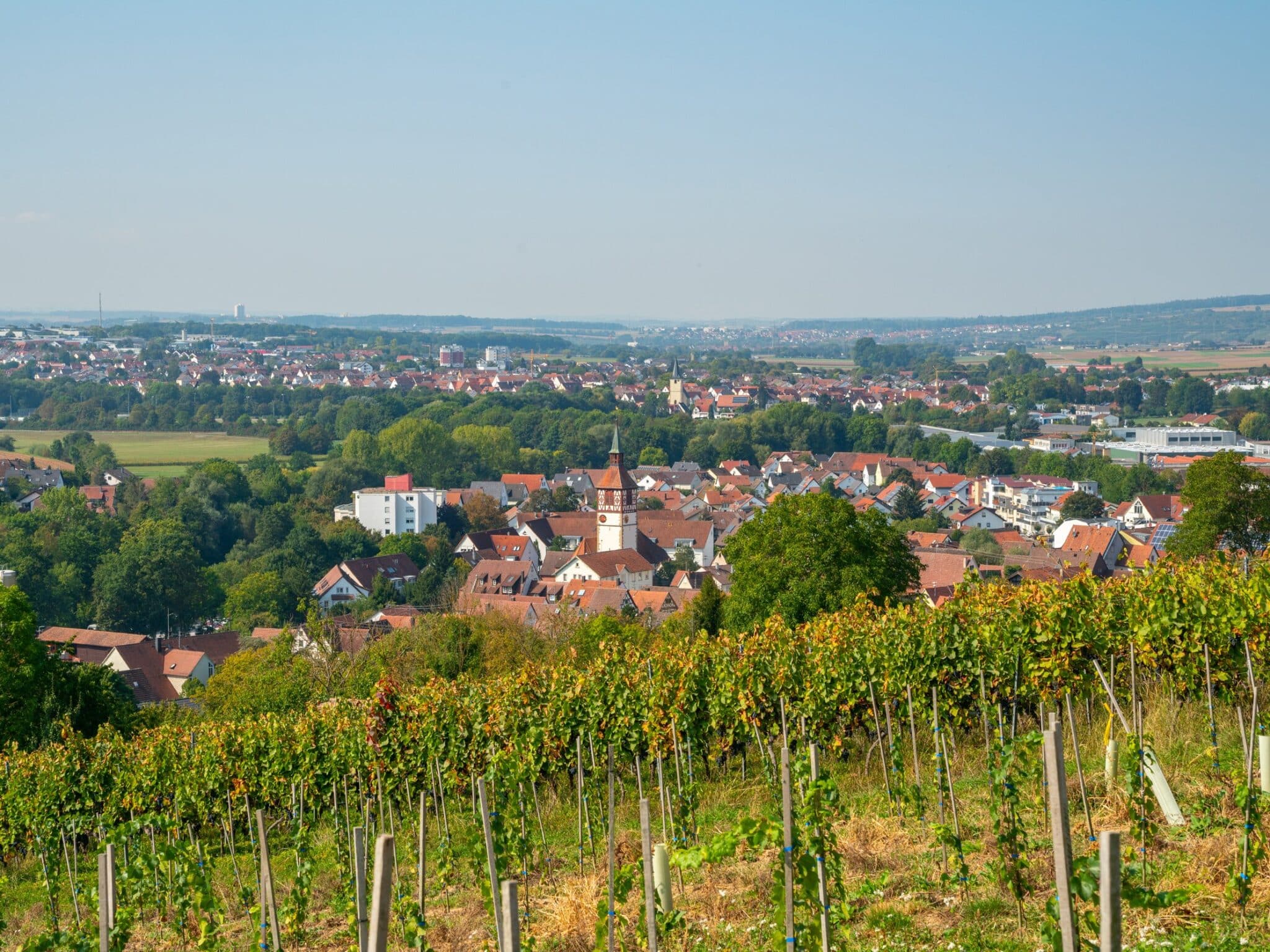 csm 2020 Stadtgebiet Steinheim mit Weinberg 42738eee34 scaled