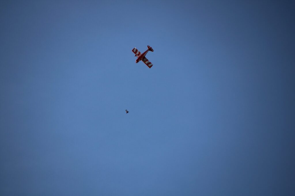 IMG 0117